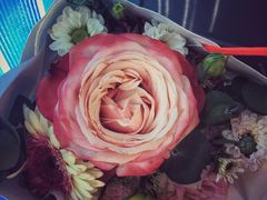-Butchart布查德鲜花(花艺设计中心)