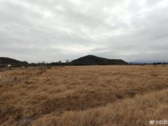 -琅岐红光湖公园