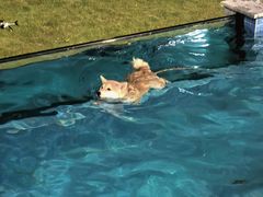 -安吉龙王山峡谷漂流