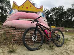 -白鹭湾湿地公园