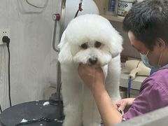 -宠颐生动物医院·小陆分院