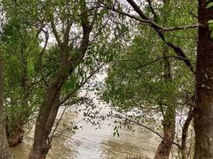 -宝安西湾红树林湿地公园