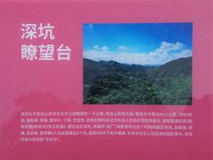 -阳台山森林公园