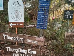 -清迈丛林飞跃 JungleFlight