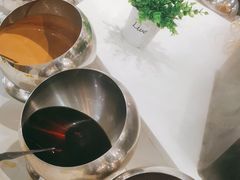 -洪氏嗨捞·猪肚鸡火锅(阳光天地店)