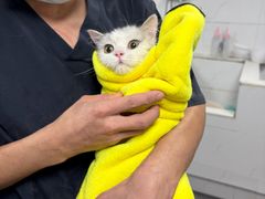 -艾贝尔宠物医院 ·中兽医·宠保定点(北门桥店)