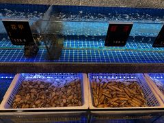 -鸽子侯·家宴·平价海鲜(绿地店)