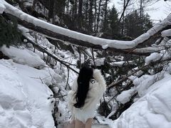 -峡谷浮石林景区