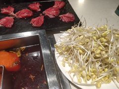 -红鼎坊·老成都火锅(新南门店)