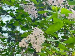 -森林公园(尖草坪区)