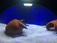 -江和美海洋公园