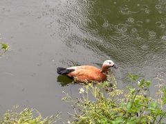 -泉州海丝野生动物世界