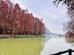 -星湖旅游景区七星岩