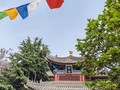 -西安市广仁寺