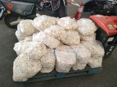 -江杨农产品批发市场