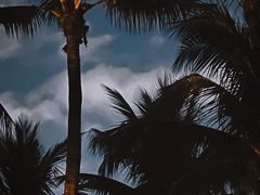 -深圳湾公园(南山区)
