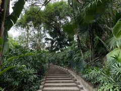 -九龙公园