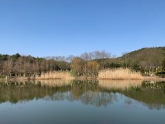 -游子山休闲旅游区