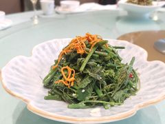 凉拌丝瓜尖-赣南人家·头牌江西菜(劲松店)