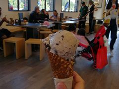 -Patagonia Chocolates(皇后镇店)