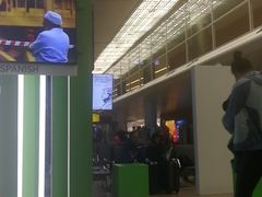 -谢列梅捷沃国际机场