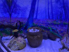 -芜湖新华联大白鲸海洋公园