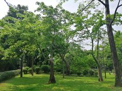 -晓港公园