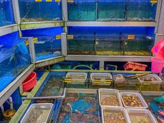 -东江海鲜大排档·潮汕菜·砂锅粥