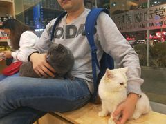 -芭比堂动物医院·24小时·眼科中心(深圳中心)