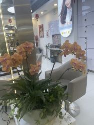 -虫二·专注健康烫染沙龙