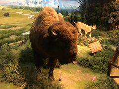 -陕西自然博物馆