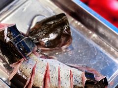 -江湖水乡铁锅炖魚(周庄嘉园店)