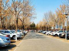 -大兴滨河森林公园