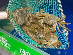 -阳澄湖大闸蟹·琼灵阁牌品牌连锁(吴中总店)