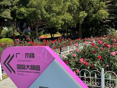 -海心沙亚运公园