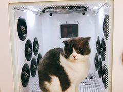 -优米宠物美容(体育场路店)