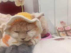 -长春农博园