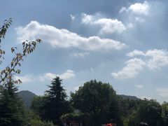 -白马涧龙池景区