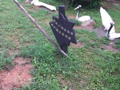 -前关湿地公园