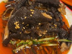-向外鱼乐·土菜·虹鳟鱼