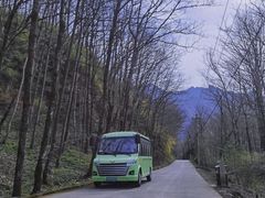 -朱雀国家森林公园