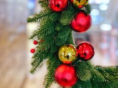 -星巴克(北京望京店)