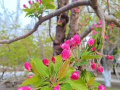 -元大都城垣遗址公园