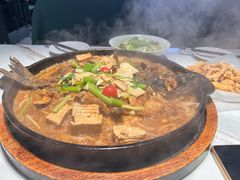 -老板恋上鱼(印象城店)