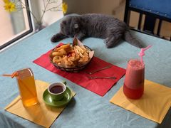 -鼓捣猫呢主题猫咖店