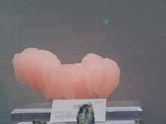 -湖南省地质博物馆