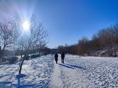 -白水寺森林公园