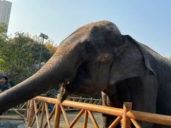 -淮安曙光国际大酒店(大运河广场花街店)