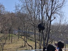 -合肥野生动物园
