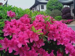 -上海皇廷花园酒店·御宴中餐厅